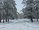 		Winter scene at the New Melleray Monastery south of Dubuque.